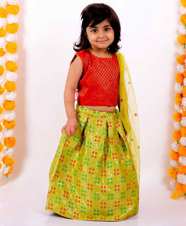 Girls Sleeveless Choli with Parrot Design Lehenga and Dupatta - Red & Green - Little Bansi