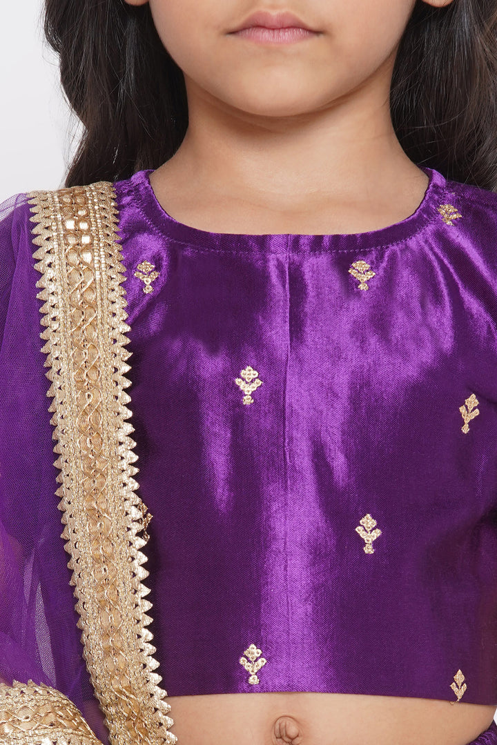 Silk Blouse with Lehenga and Dupatta with Sequins Work - Little Bansi